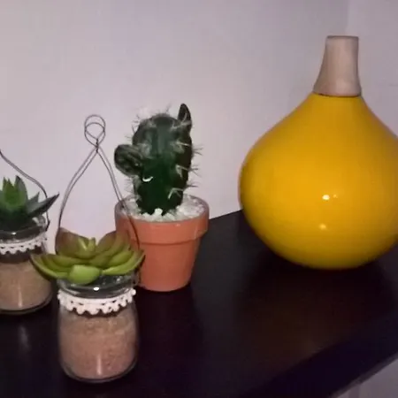 Apartman And House *