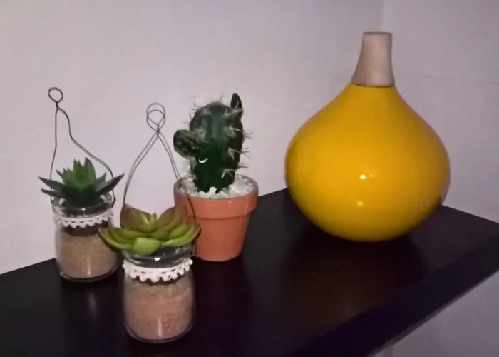 Apartman And House *